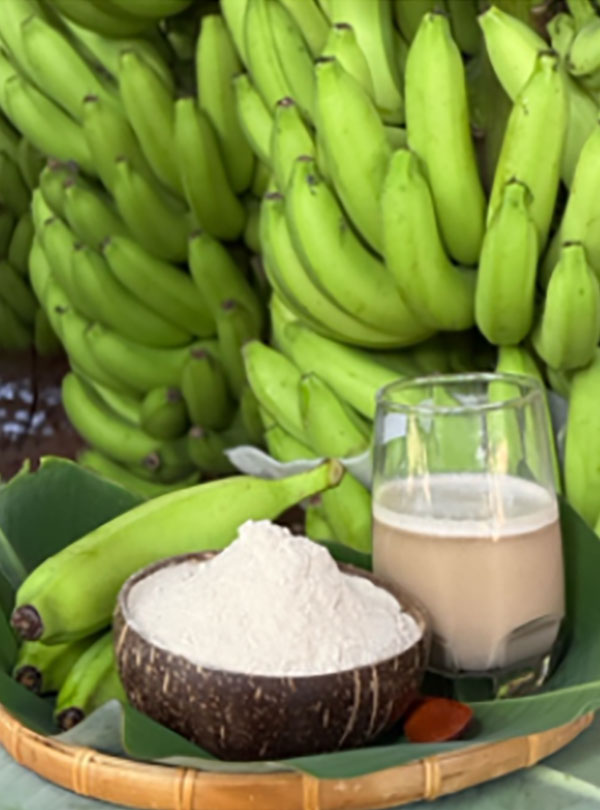 Green Banana Resistant Starch (Bột kháng chuối xanh)
